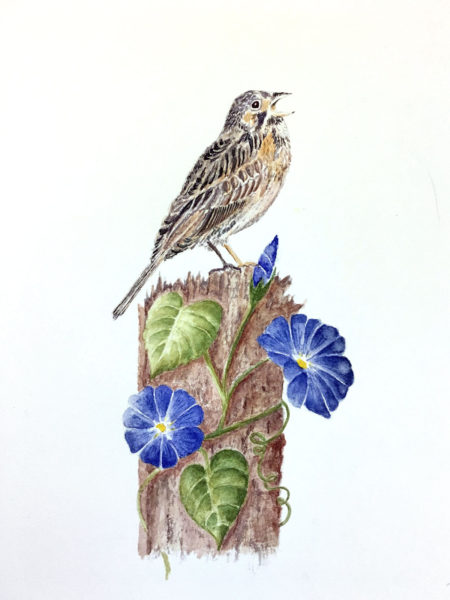 Jan Boyd Botanicals - Bird