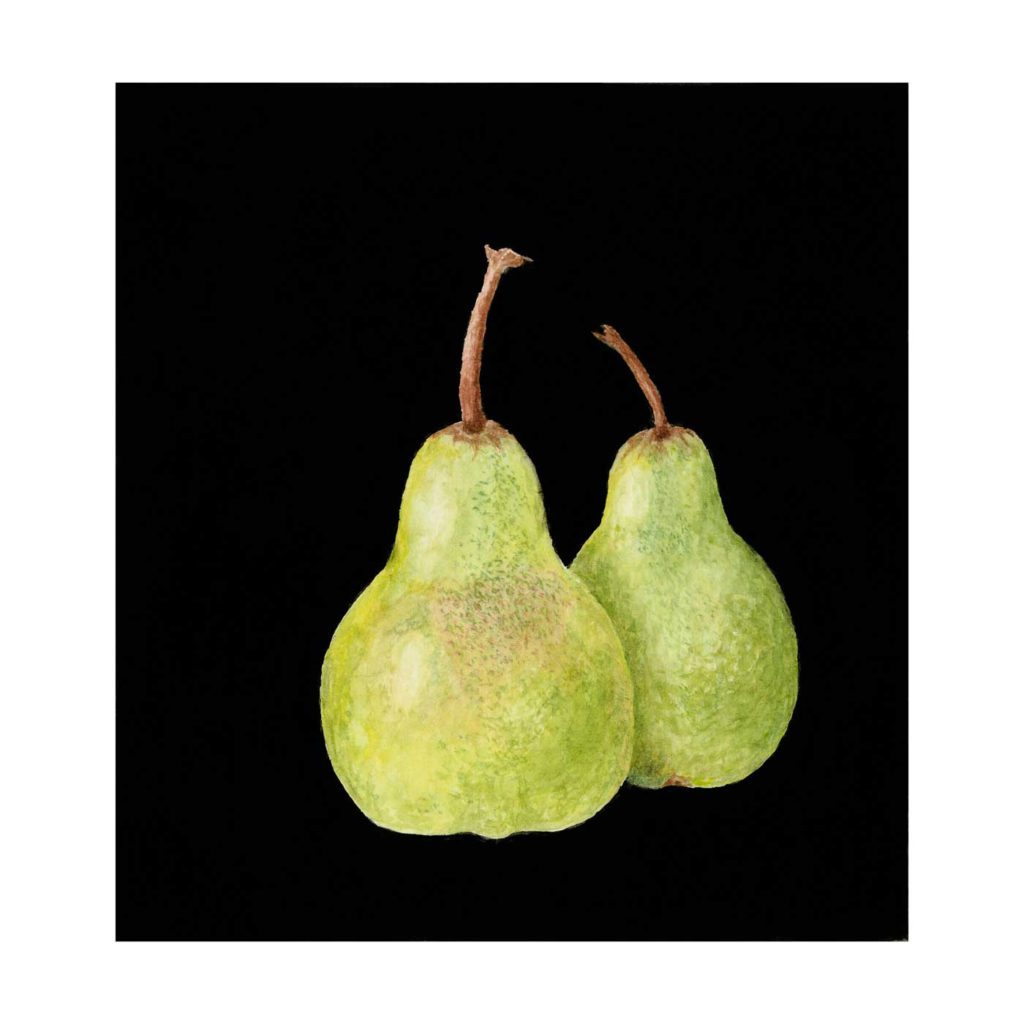 B303 Pear Pair ©Jan Boyd